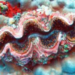 Een reuzenschelp met een golvende mantel in roze, bruin en blauw, omzoomd met oranje stippen, ingebed in een grijsblauw massief koraal, met een rode spons en groene zakpijpen