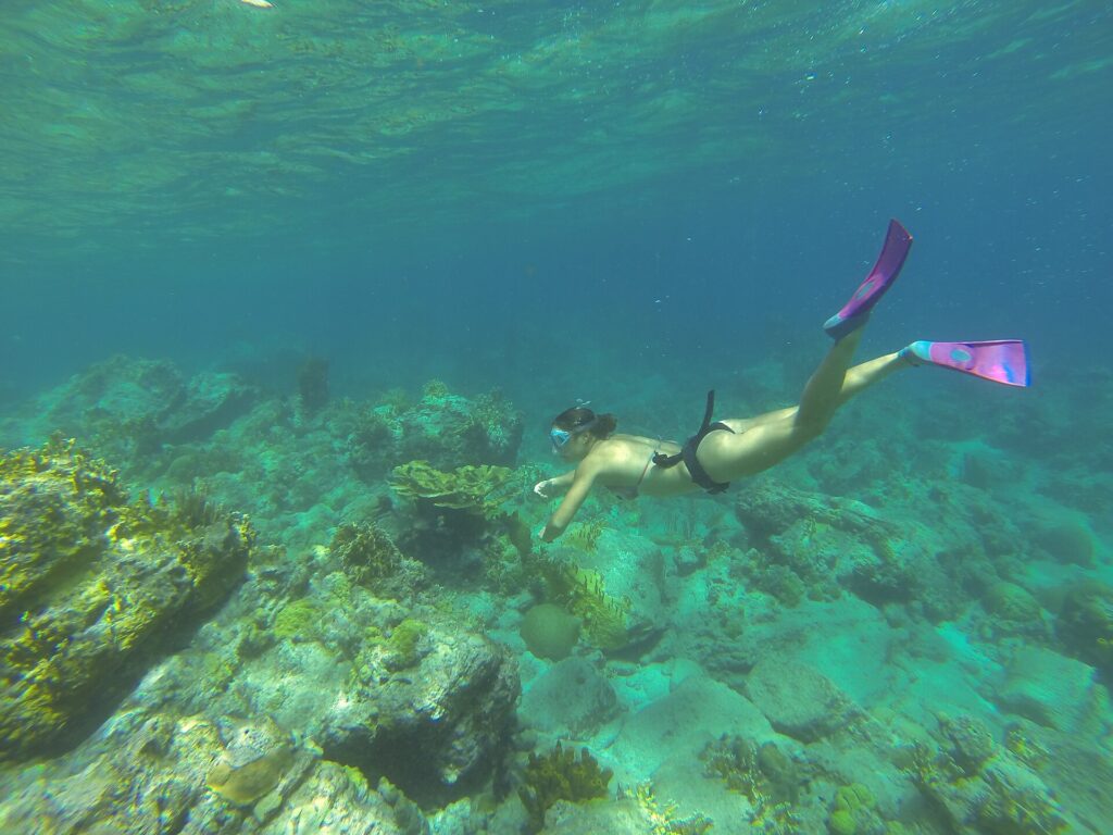 Een vrijduikster met masker en roze vinnen daalt af naar een bodem van rotsen en koraal, onder het rimpelende oppervlak, in turquoise water