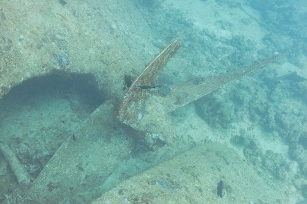 Een blad van de schroef van de Thistlegorm, bedekt met aangroei, op het zand naast de romp
