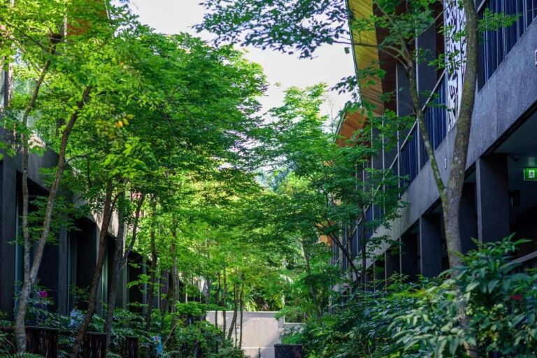 Een pad met bomen tussen twee gebouwen van het resort