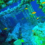 De bovenbouw van de Numidia vol zachte koralen, met oranje anthias eromheen en een keizersvis op de voorgrond, in blauwgroen water