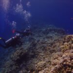 Twee duikers zwemmen langs de buitenwand van de Blue Hole, bedekt met harde koralen en anthias, met links het diepe blauw