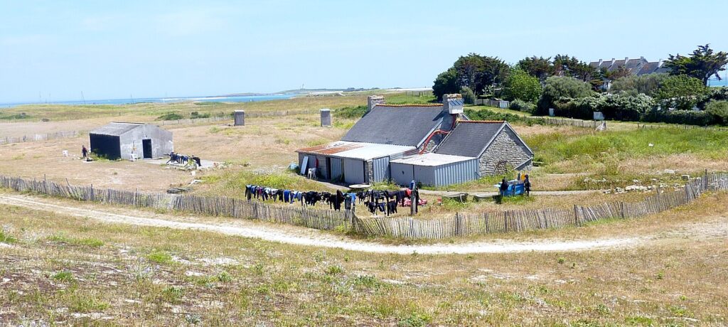 Een lange stenen boerderij met leien daken en aanbouwen van golfplaat, met ervoor een lange rij duikpakken die te drogen hangen op een hek van kastanjehouten latten, midden in een kale heide, met de zee en een vuurtoren in de verte.