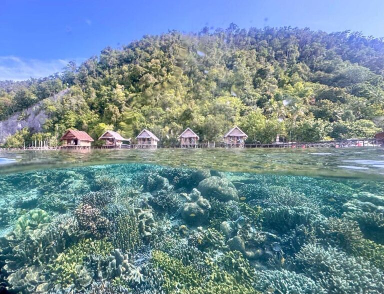 Het koraalrif onder het wateroppervlak en de bungalows op palen van Terimakasih Homestay, aan de voet van een beboste heuvel