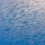Een dichte school zilveren snipvissen, kleine vissen met een lange buisvormige snuit, vult het hele beeld diagonaal, rechtsboven verlicht door de zon in blauw water