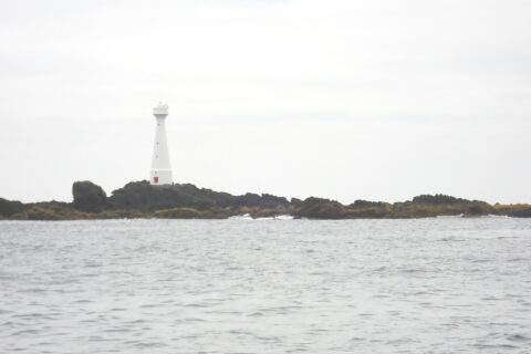 Een slanke witte vuurtoren met rode deur staat op het lage, rotsige eilandje Formigão, met donkere rotsen omzoomd door bruine algen, boven een grijze, woelige zee onder een bewolkte lucht