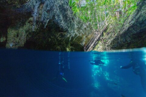Half boven, half onder water bij de ingang van cenote The Pit: bovenaan het kalkstenen gewelf en de houten trap onder de jungle, onderaan twee duikers in het diepblauwe water